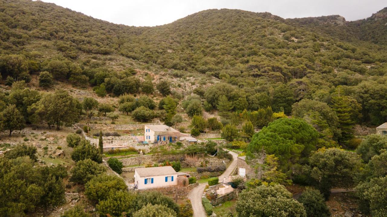 Casa de Férias L'elementariu Nonza