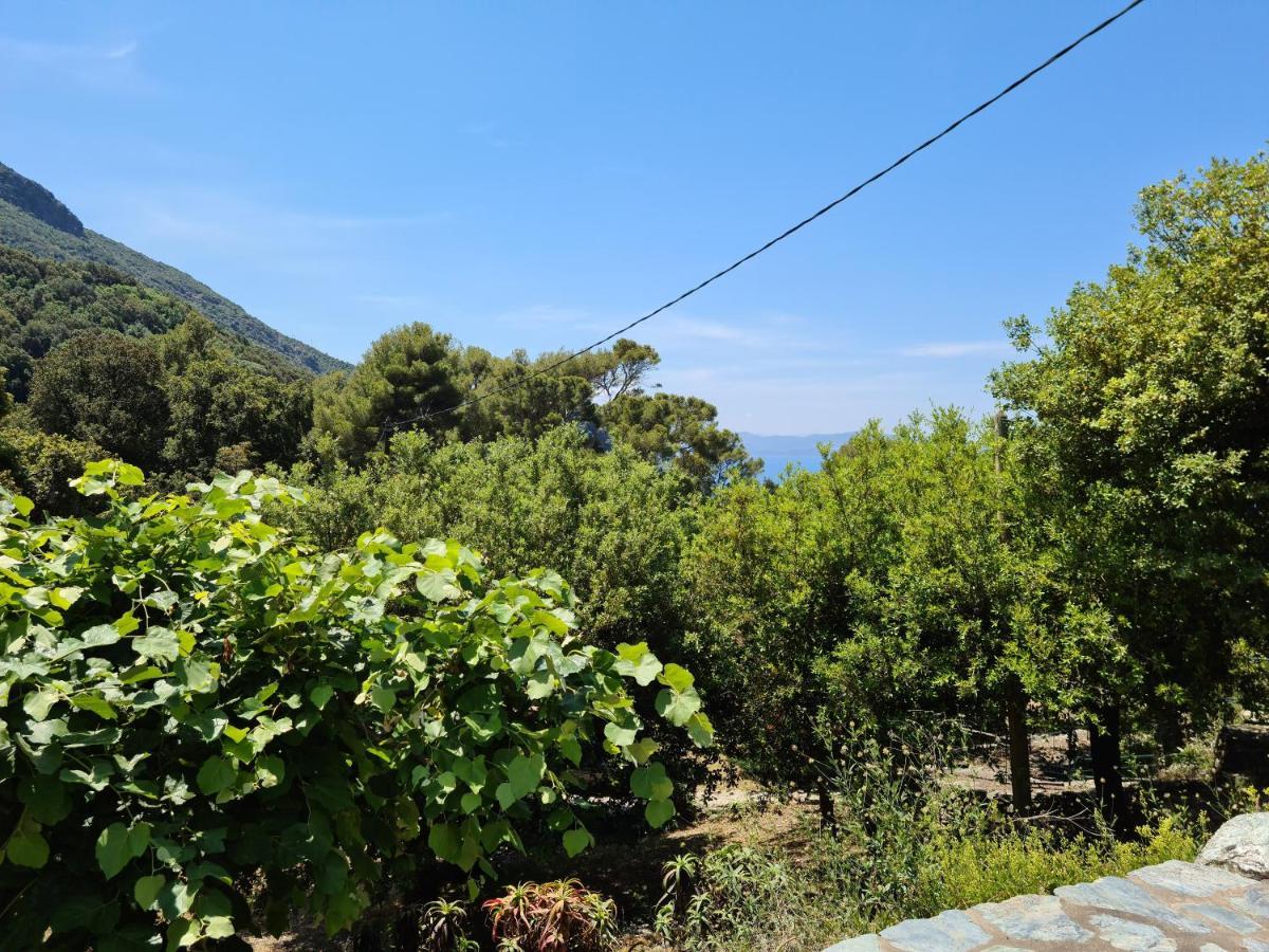 L'elementariu