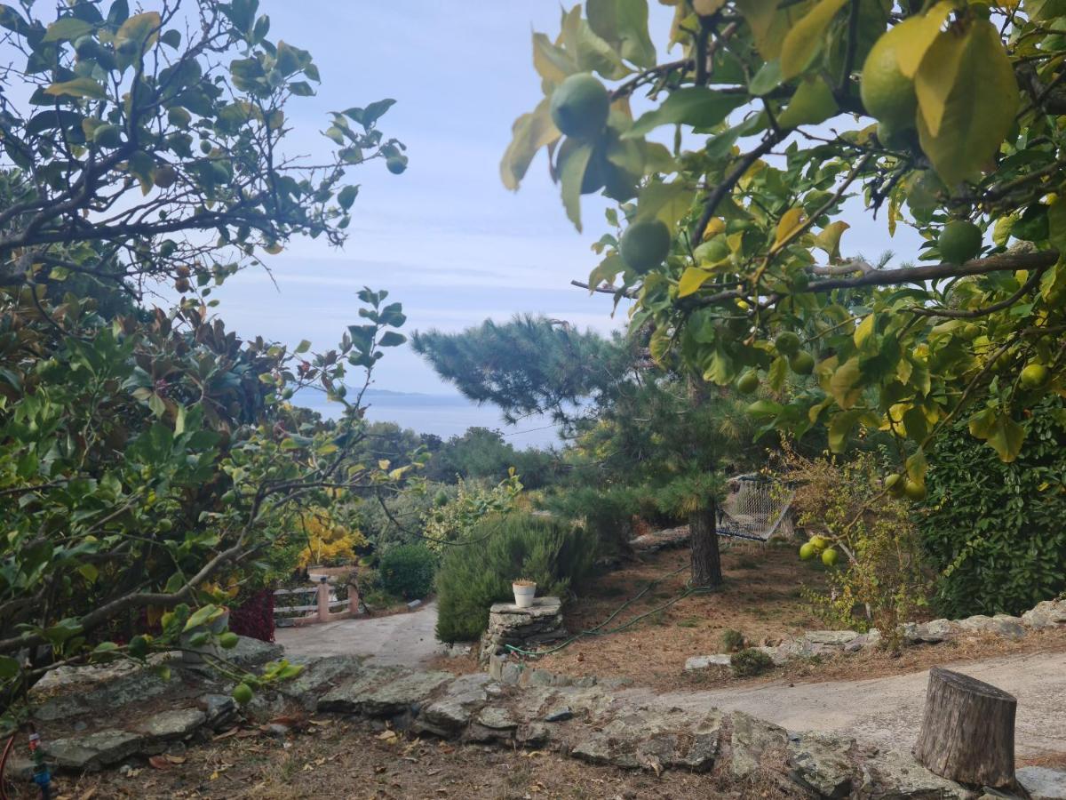 L'elementariu Casa de Férias