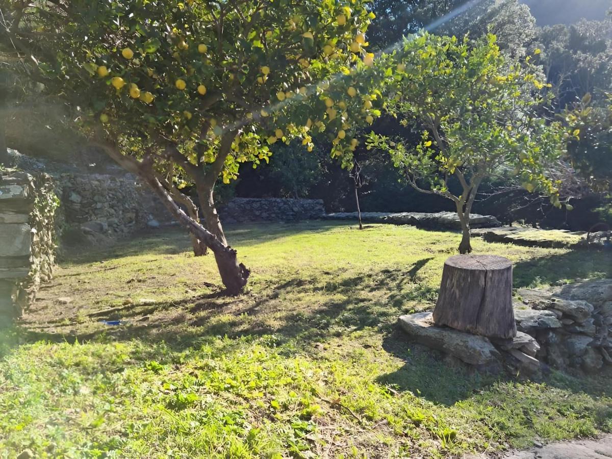 Ferienhaus L'elementariu Nonza
